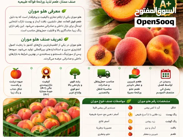 نكتارين وخوخ موران