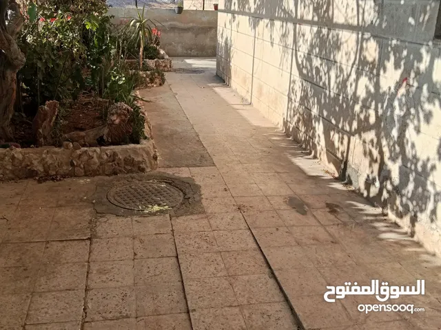 شقه للايجار