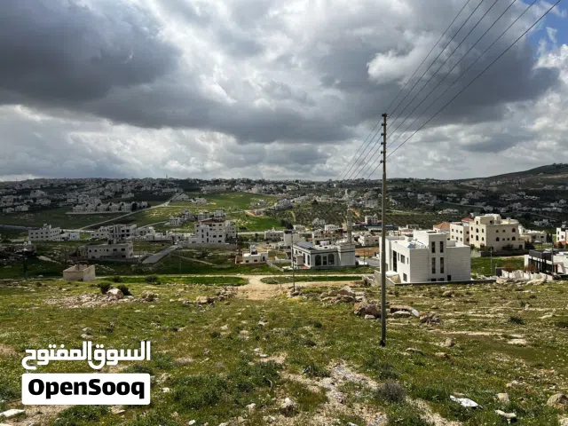 Residential Land for Sale in Amman Shafa Badran