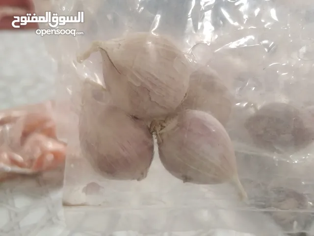 بيع الثوم الزكر المقشور والعادي وعلاج الكبده