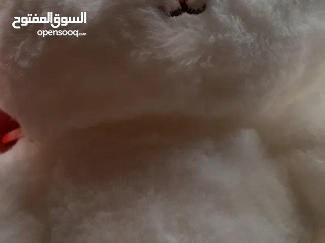 لعبة الأرنب أم حبة الفراولة العملاقة؟؟
