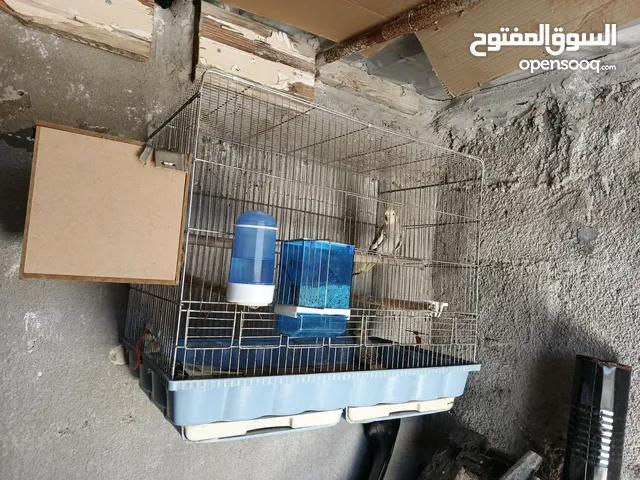 جوز كوكتيل مع فراخ / موقع عجلون عنجره / تفاصيل بالوصف