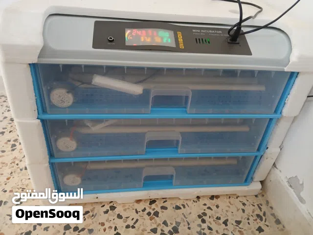 فقاصة 300 بيضة للبيع ...