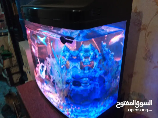 حوض سمك مستورد بكل مشتملاتة مع عدد 3 مسكات كوي