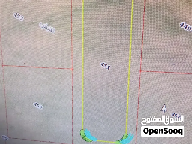 Farm Land for Sale in Amman Al-Quneitirah