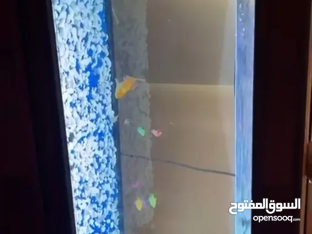 حوض سمك كبير للبيع