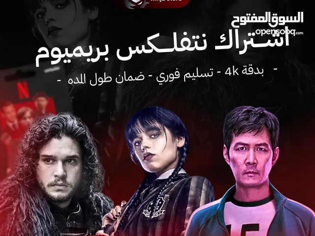 Netflix Accounts and Characters for Sale in Irbid