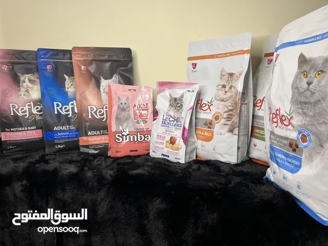 كل مستلزمات القطط دراي فود مكافئات رمل العاب