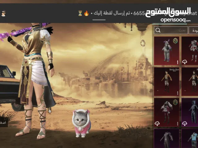 Pubg Accounts and Characters for Sale in Misrata