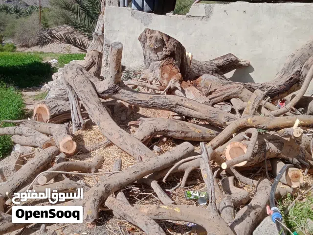 حطب سمر نضيف