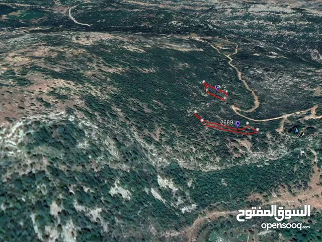 Mixed Use Land for Sale in Batroun Other