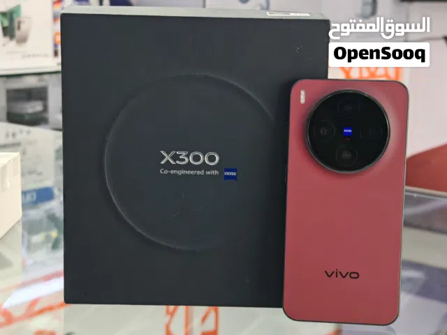 Vivo X300  12/256