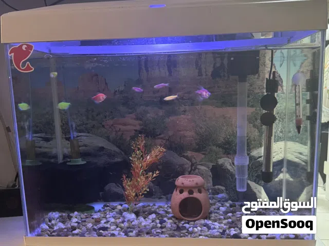 حوض سمك 60 * 45 كامل الاغراض وجاهز بالسمك