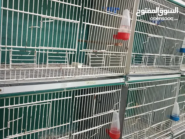 غرفة طيور كامله للبيع اقرأ الوصف سعر قابل للتفاوض بشكل بسيط