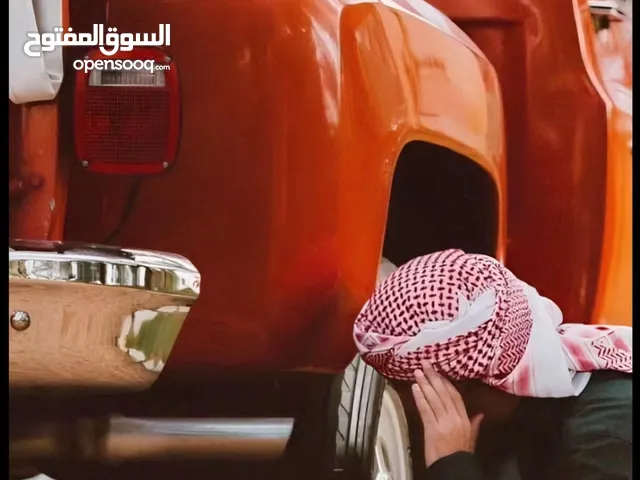 قط للبيع في سحاب مع اولادها