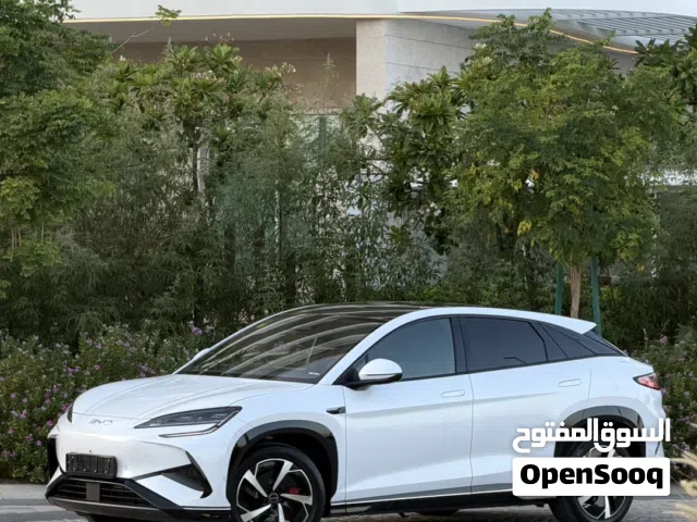 2025 بي واي دي سيليون