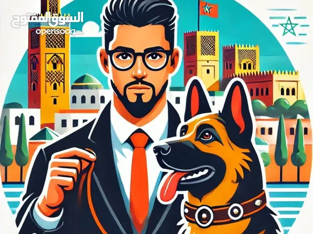مدرب كلاب محترف في الرباط و الدار البيضاء
