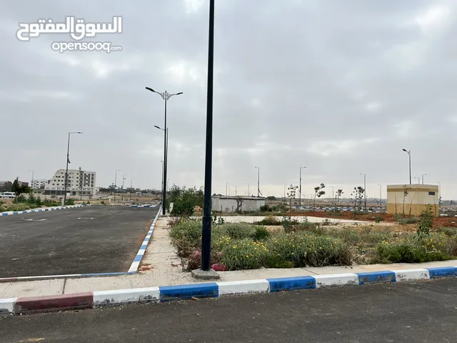 تجزئة مروى