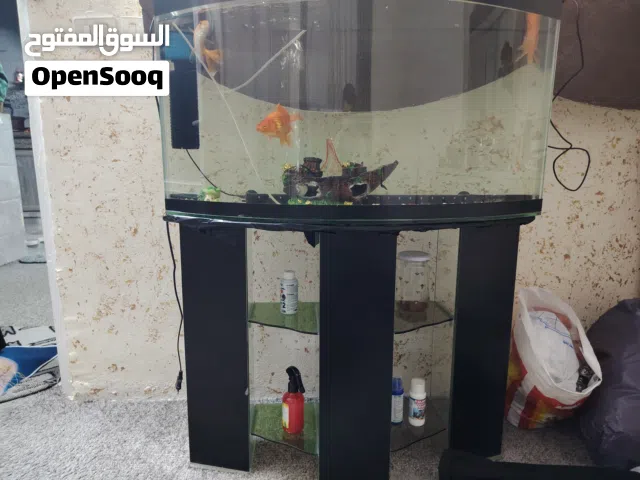 حوض سمك قابل للبدل