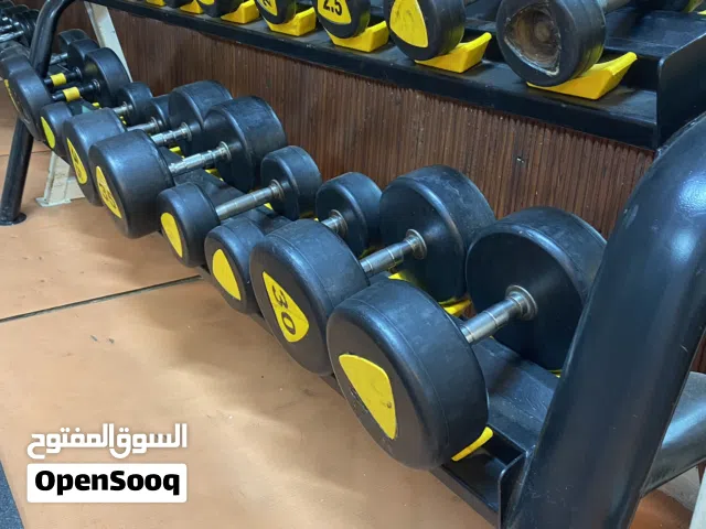 للبيع دنامبلز