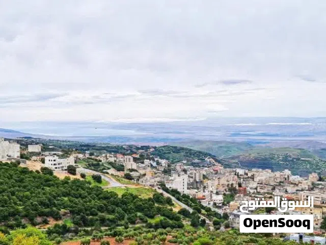 1 دونم أرض بأجمل مواقع ماحص (الميدة) للبيع
