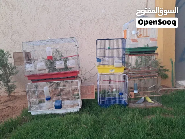 سلام عليكم 7 قفاص للبيع نضاف نضاف بي ملحقاتهم