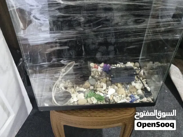 حوض سمك مستعمل مع فلتر مياه مع صدف