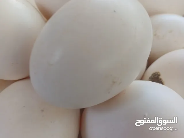 بيض بلادي الطبق 4دنانير