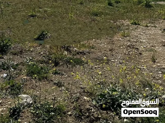 Mixed Use Land for Sale in Bethlehem Al Shawawra