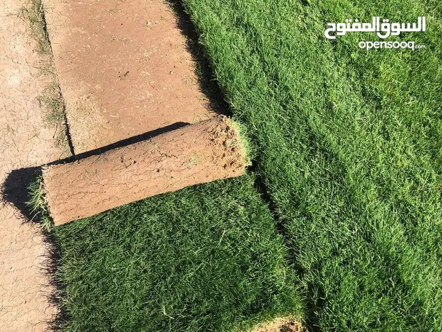 ثيل طبيعي لتجهيز كافة الحدائق