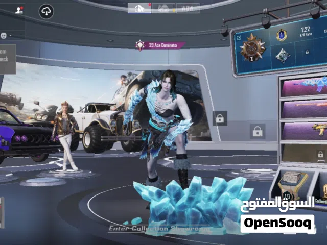 Pubg Accounts and Characters for Sale in Amman