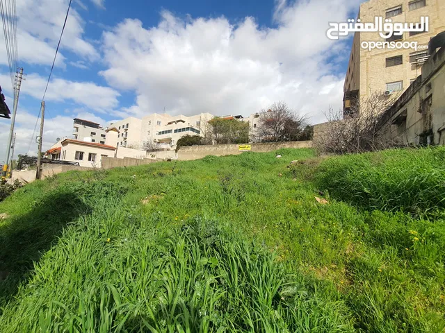 قطعة أرض مميزة للبيع مدخل مرج الحمام طريق البحر الميت الرئيسي
