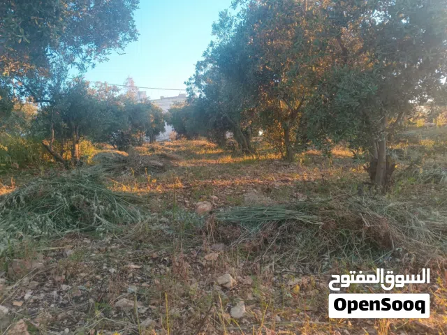 Mixed Use Land for Sale in Irbid Al Ashrafiyah