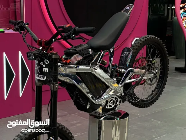 Surron lbx 2024