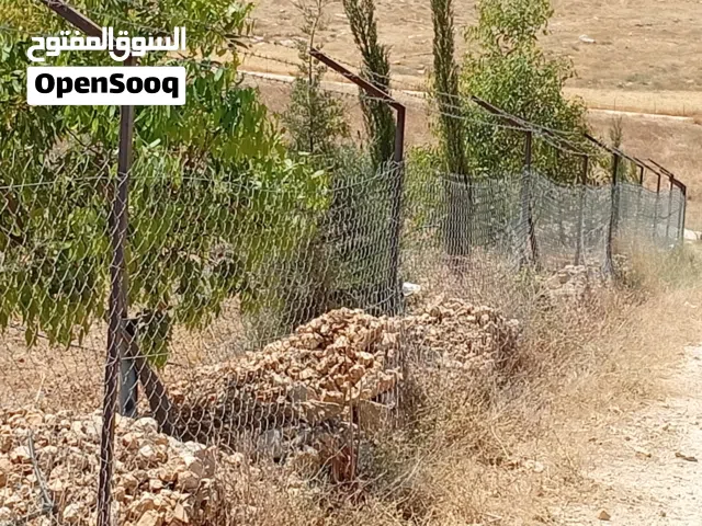 Farm Land for Sale in Mafraq Bala'ama