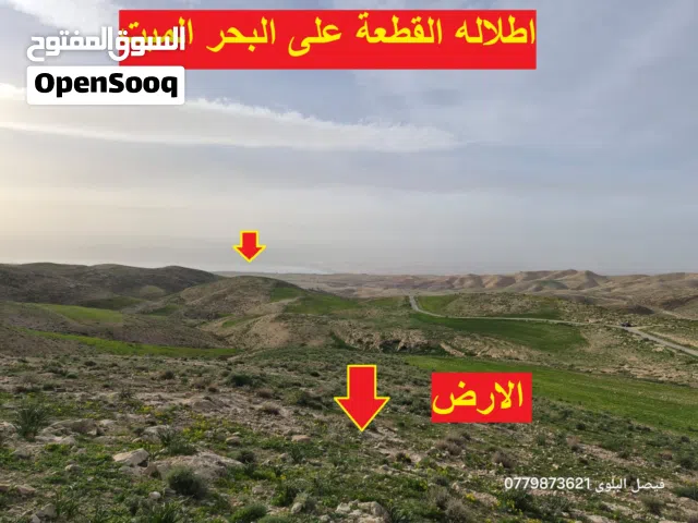 Farm Land for Sale in Madaba Mai'n