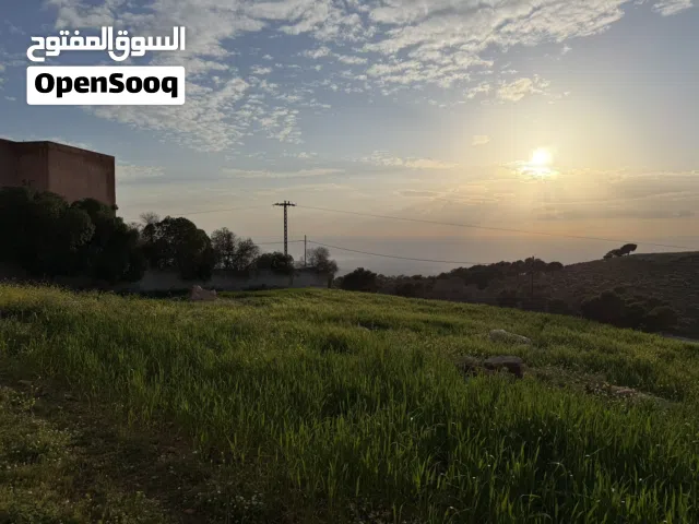 أرض مميزة بإطلالة غربية على البحر الميت بالقرب من عمّان