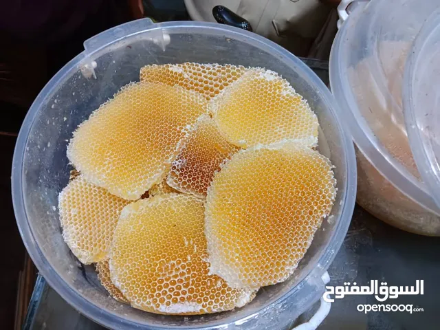 عسل بلدي اصلي مضمون البيع من النحال مباشر
