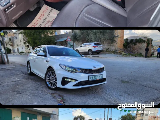محمد الفيومي
