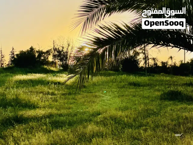 قطعة أرض سكنية 1000 متر للبيع