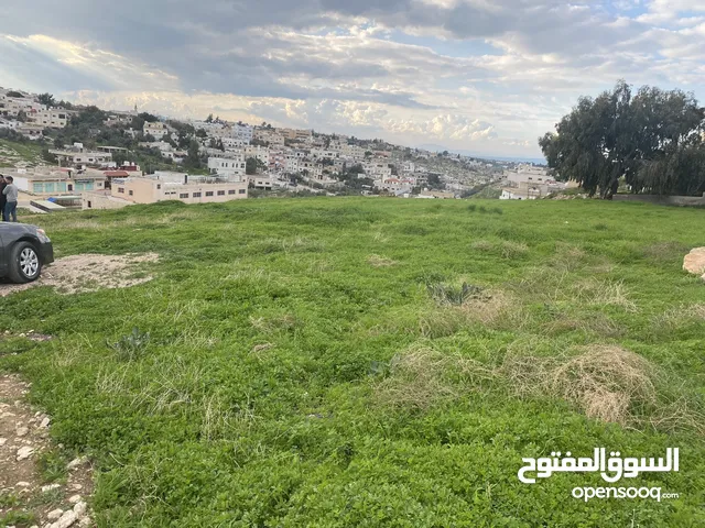 Mixed Use Land for Sale in Irbid Der Abi Saeed
