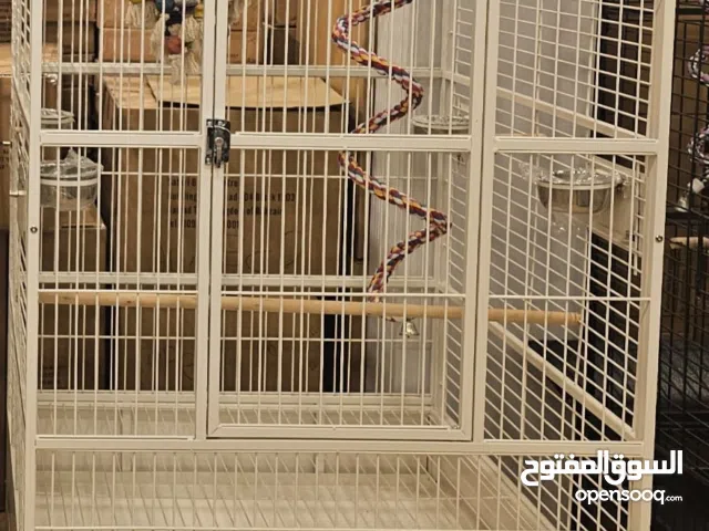 قفص كبير للطيور الناطقه