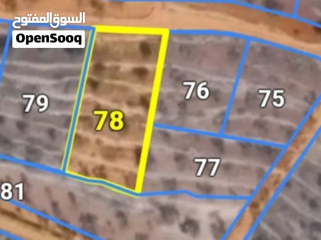 Farm Land for Sale in Ramallah and Al-Bireh Kaubar