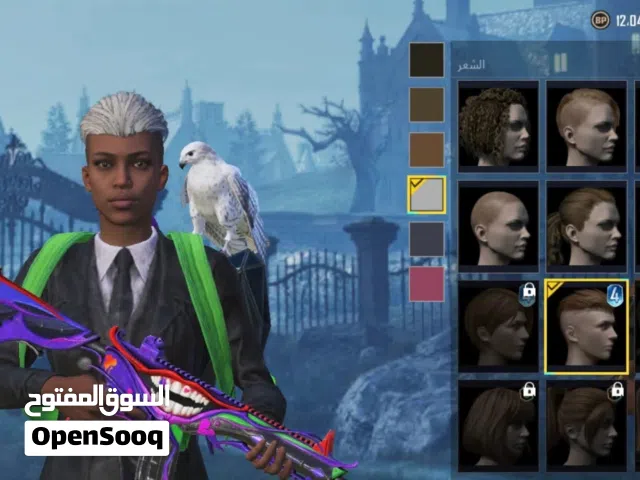 Pubg Accounts and Characters for Sale in Abyar