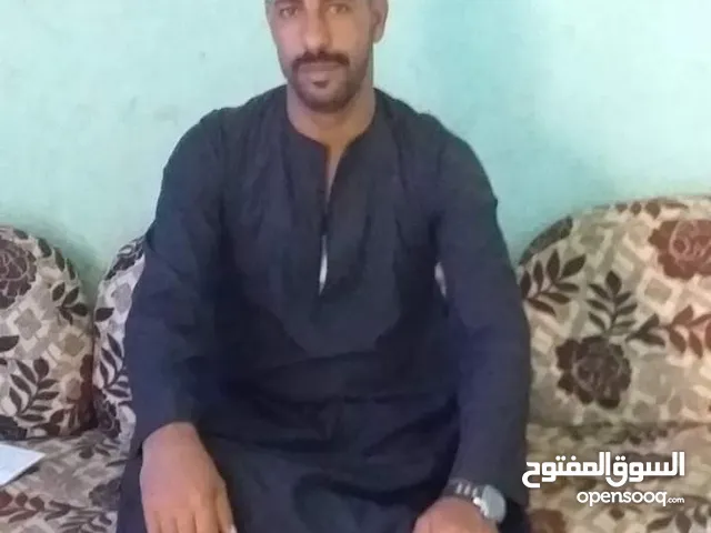 حازم محمد