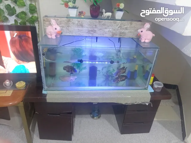 حوض أسماك مع ميز للبيع بسعر مناسب