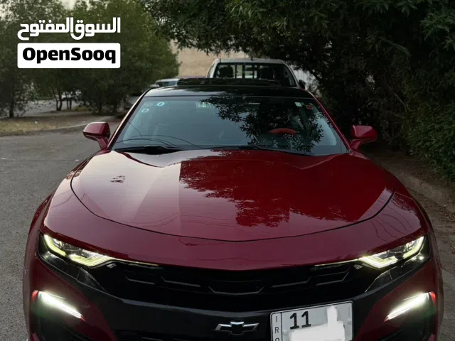 كمارو موديل 19