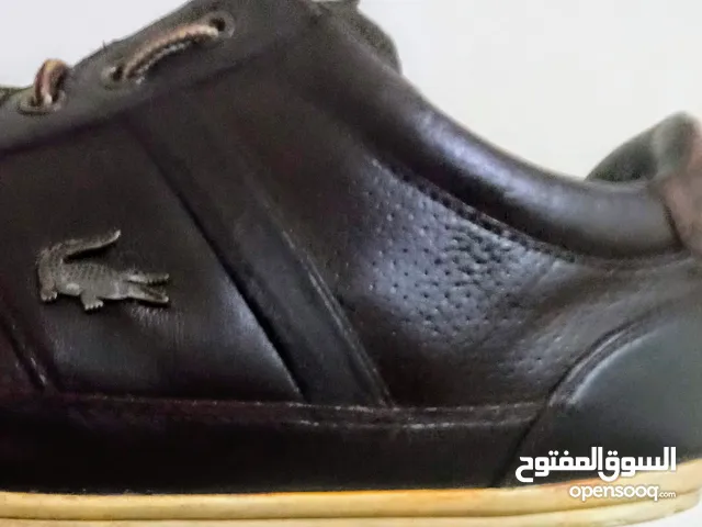 Lacost Casual Shoes in Alexandria