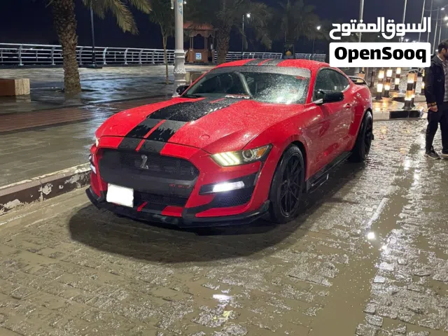 موستنك للبيع