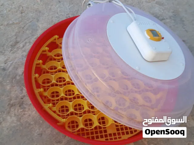 فقاسة (حضانة) بيض رومانية Puisor نظيفة جداً ونسبة تفقيس ممتازة (الله يبارك) قابل للنقاش في القدو
